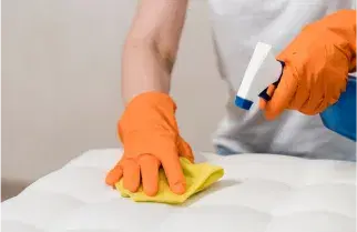 [object Object] Image